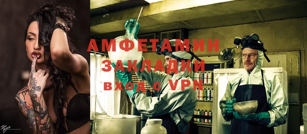 прущие грибы Новодвинск